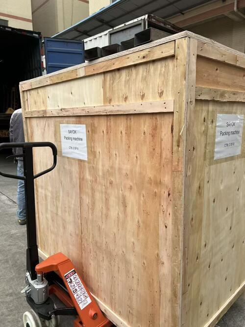 गाज रोल और परीक्षा दस्ताने पैकिंग के लिए अनुकूलित तकिया पैकिंग मशीन