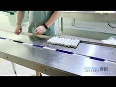 स्वचालित क्षैतिज शुद्धिकरण कार्ट्रिज प्रवाह पैकेजिंग मशीन 220v