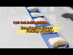 OEM / ODM परीक्षा दस्ताने पैकिंग मशीन SN-350XS तकिया पैकेजिंग मशीन